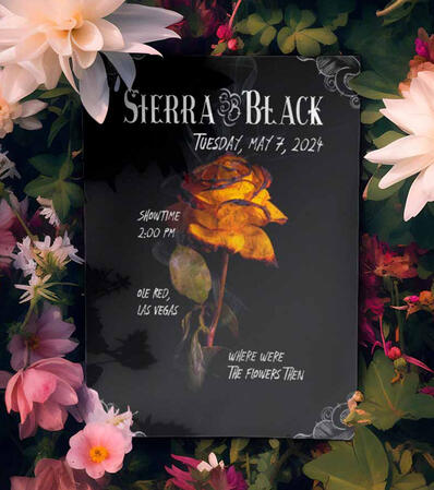 Concert Poster